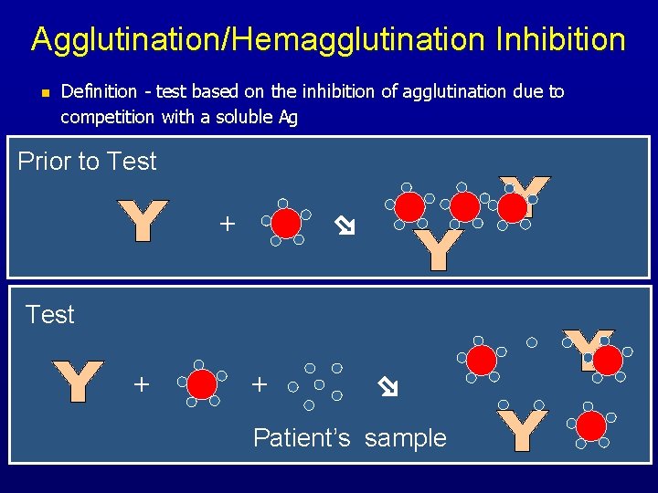Agglutination/Hemagglutination Inhibition n Definition - test based on the inhibition of agglutination due to