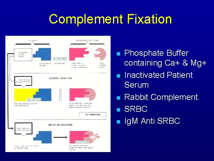 Complement Fixation n n Phosphate Buffer containing Ca+ & Mg+ Inactivated Patient Serum Rabbit