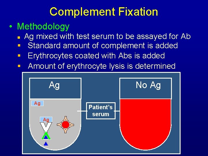 Complement Fixation • Methodology Ag mixed with test serum to be assayed for Ab