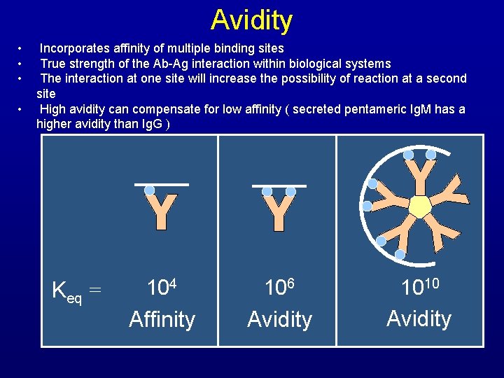 Avidity • • Incorporates affinity of multiple binding sites True strength of the Ab-Ag