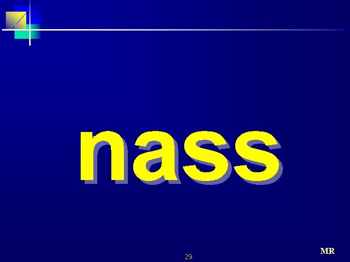 nass 29 MR 