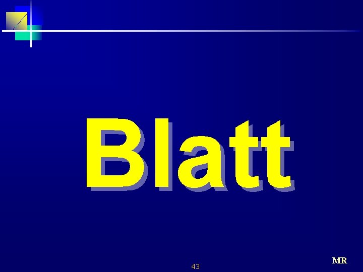 Blatt 43 MR 