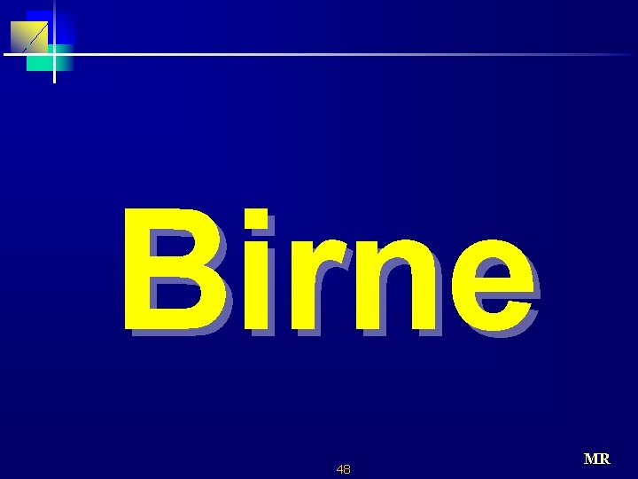 Birne 48 MR 