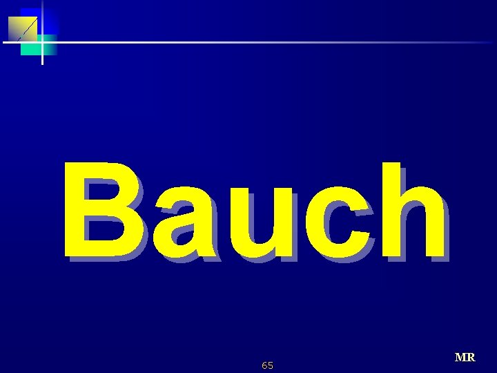 Bauch 65 MR 