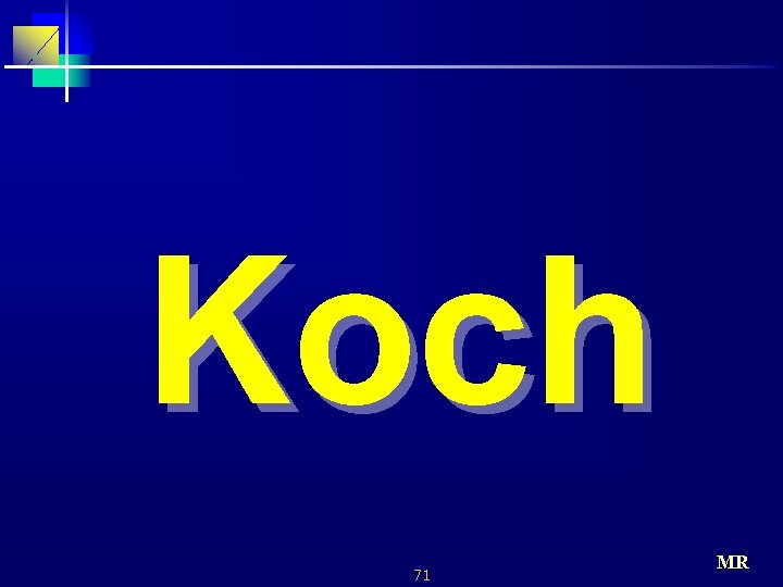 Koch 71 MR 