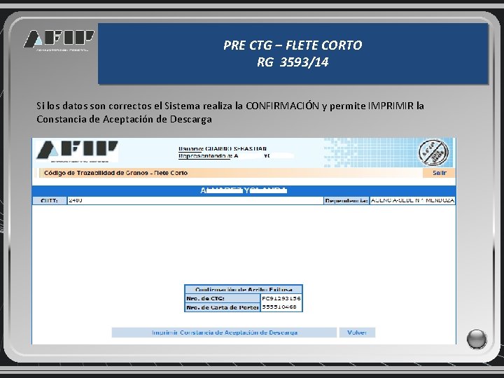 PRE CTG – FLETE CORTO RG 3593/14 Si los datos son correctos el Sistema