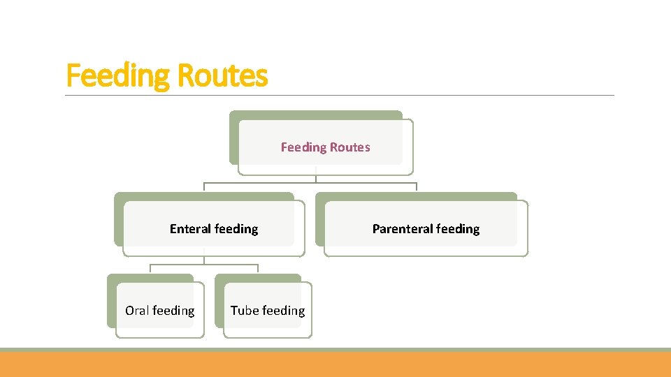 Feeding Routes Enteral feeding Oral feeding Tube feeding Parenteral feeding 