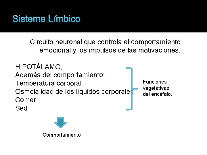 Sistema Límbico Circuito neuronal que controla el comportamiento emocional y los impulsos de las