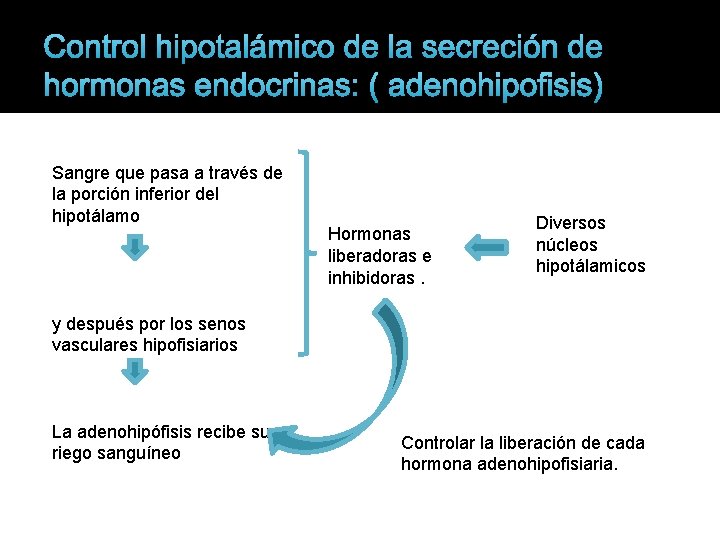 Control hipotalámico de la secreción de hormonas endocrinas: ( adenohipofisis) Sangre que pasa a
