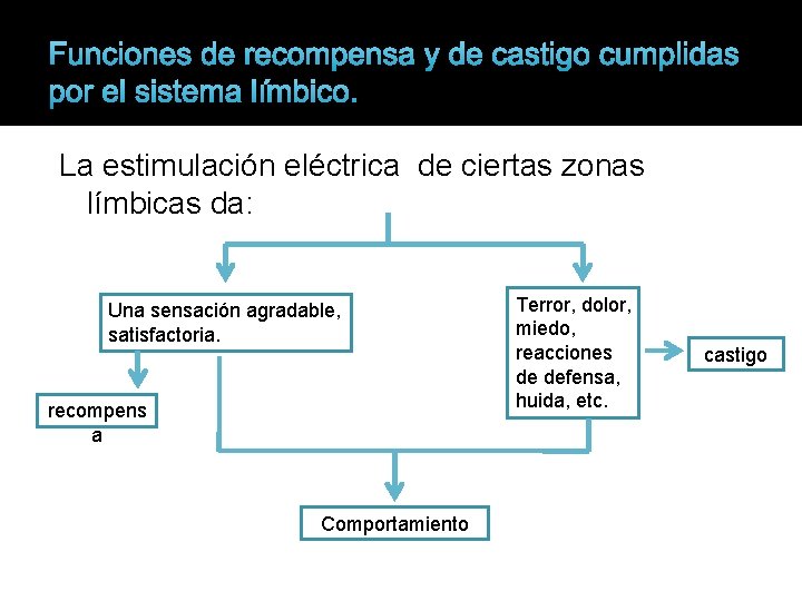 Funciones de recompensa y de castigo cumplidas por el sistema límbico. La estimulación eléctrica