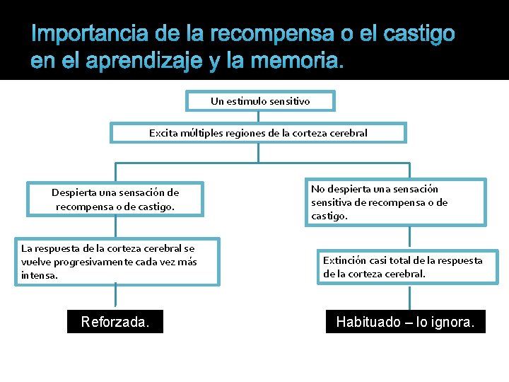 Importancia de la recompensa o el castigo en el aprendizaje y la memoria. Un