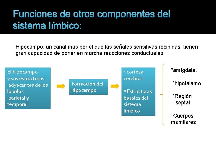 Funciones de otros componentes del sistema límbico: Hipocampo: un canal más por el que