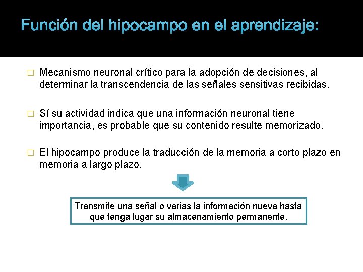 Función del hipocampo en el aprendizaje: � Mecanismo neuronal crítico para la adopción de