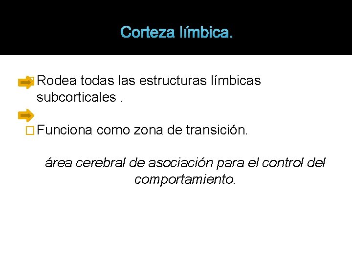 Corteza límbica. � Rodea todas las estructuras límbicas subcorticales. � Funciona como zona de