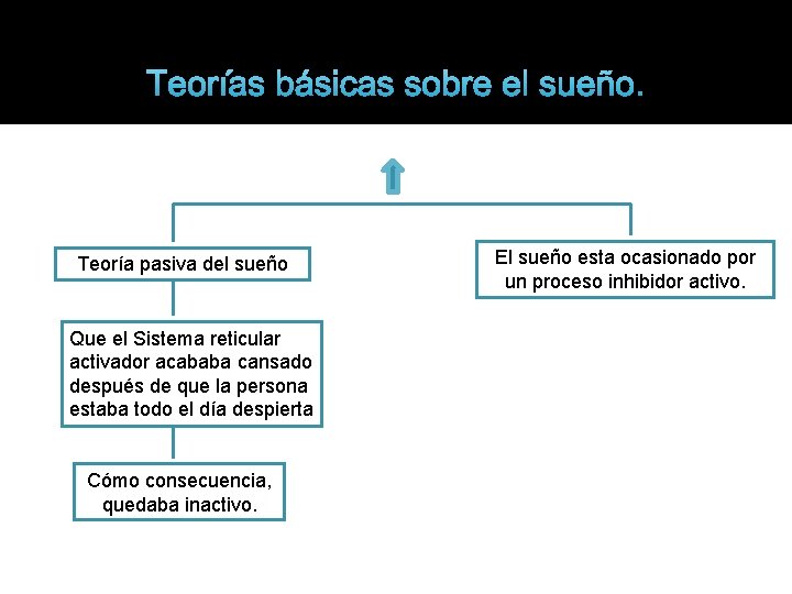 Teorías básicas sobre el sueño. Teoría pasiva del sueño Que el Sistema reticular activador
