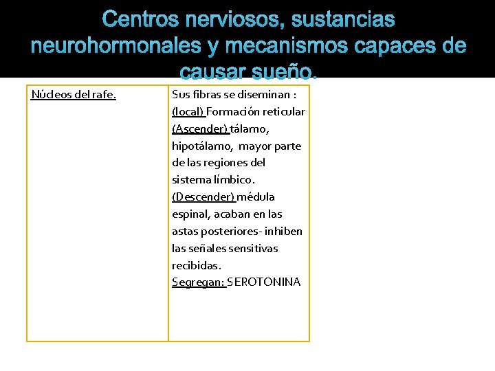 Centros nerviosos, sustancias neurohormonales y mecanismos capaces de causar sueño. Núcleos del rafe. Sus