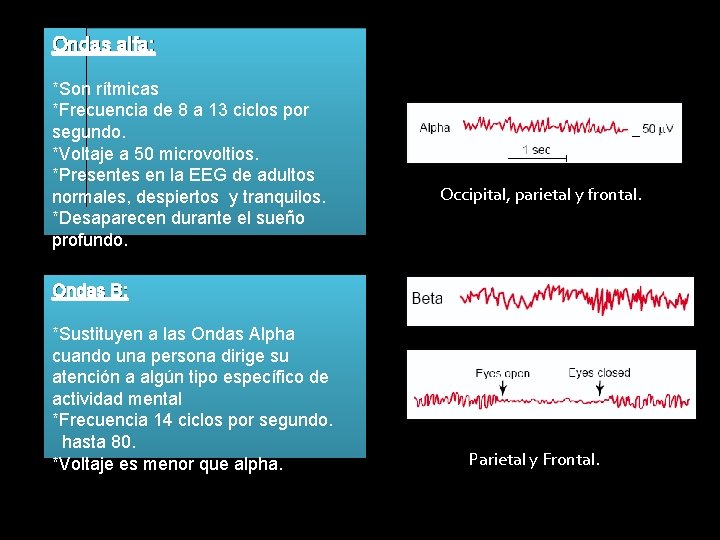 Ondas alfa: *Son rítmicas *Frecuencia de 8 a 13 ciclos por segundo. *Voltaje a
