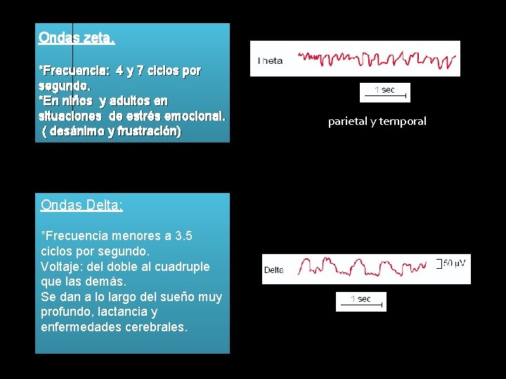 Ondas zeta. *Frecuencia: 4 y 7 ciclos por segundo. *En niños y adultos en