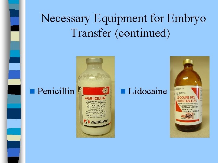  Necessary Equipment for Embryo Transfer (continued) n Penicillin n Lidocaine 