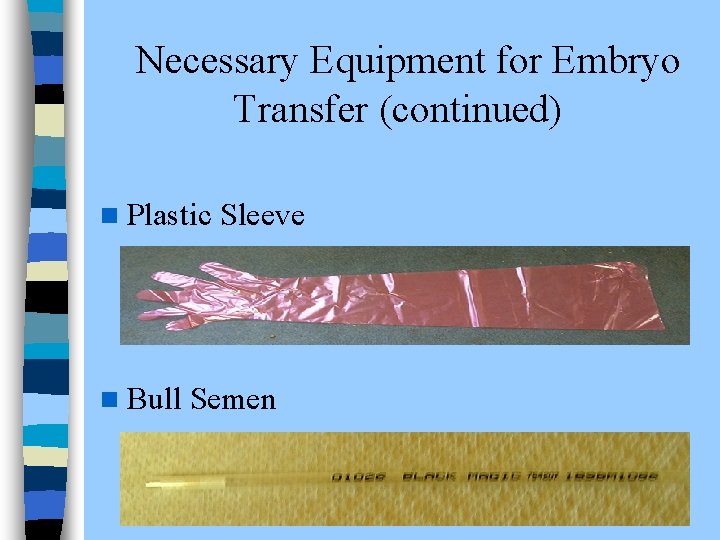  Necessary Equipment for Embryo Transfer (continued) n Plastic Sleeve n Bull Semen 
