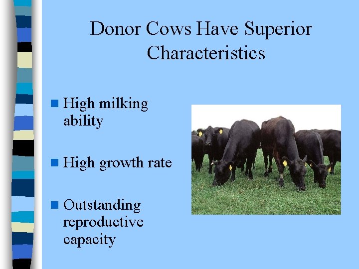  Donor Cows Have Superior Characteristics n High milking ability n High growth rate