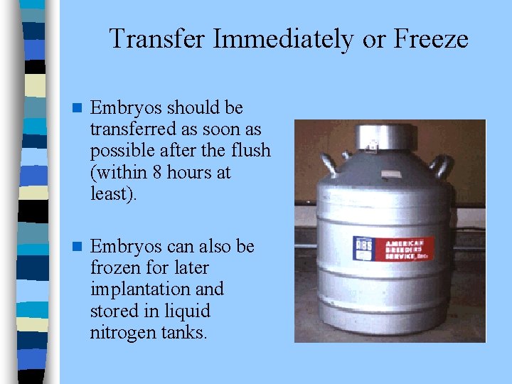 Transfer Immediately or Freeze n Embryos should be transferred as soon as possible