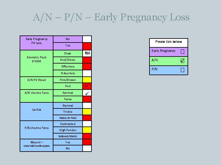 A/N – P/N – Early Pregnancy Loss Early Pregnancy PV Loss Amniotic Fluid if A/N – P/N – Early Pregnancy Loss Early Pregnancy PV Loss Amniotic Fluid if