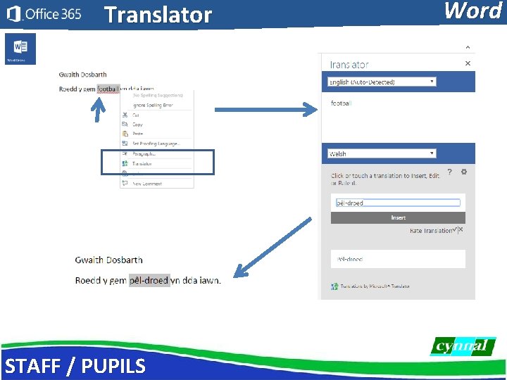Translator STAFF / PUPILS Word 