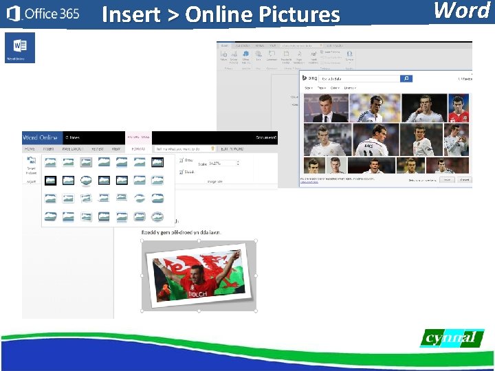 Insert > Online Pictures Word 