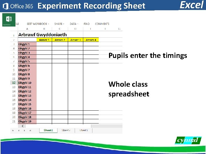 Experiment Recording Sheet Excel Pupils enter the timings Whole class spreadsheet 