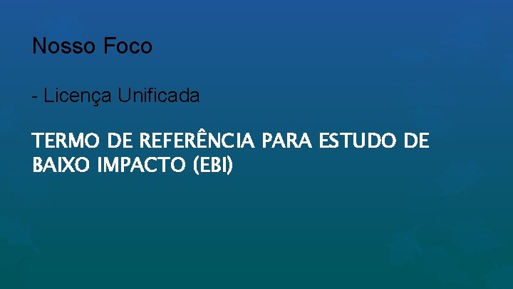 Nosso Foco - Licença Unificada TERMO DE REFERÊNCIA PARA ESTUDO DE BAIXO IMPACTO (EBI)