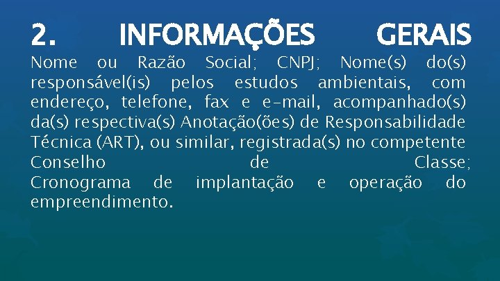 2. INFORMAÇÕES GERAIS Nome ou Razão Social; CNPJ; Nome(s) do(s) responsável(is) pelos estudos ambientais,