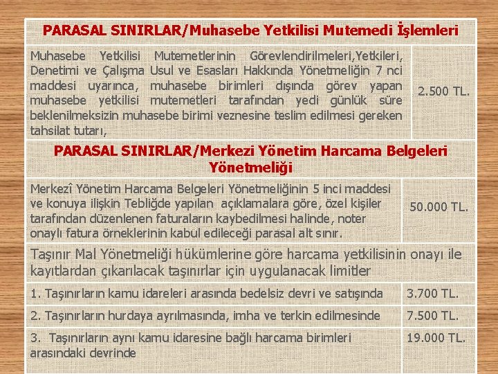 PARASAL SINIRLAR/Muhasebe Yetkilisi Mutemedi İşlemleri Muhasebe Yetkilisi Mutemetlerinin Görevlendirilmeleri, Yetkileri, Denetimi ve Çalışma Usul