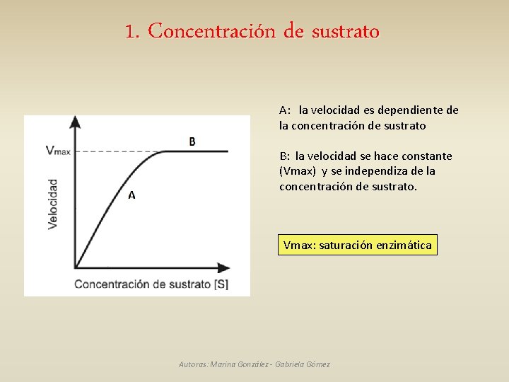 1. Concentración de sustrato A: la velocidad es dependiente de la concentración de sustrato