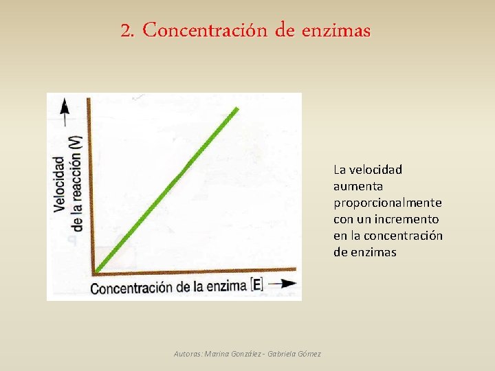 2. Concentración de enzimas La velocidad aumenta proporcionalmente con un incremento en la concentración