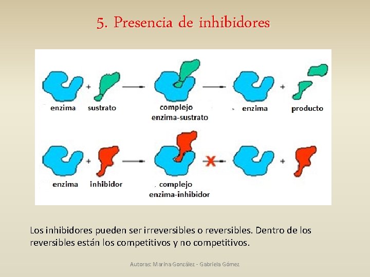 5. Presencia de inhibidores Los inhibidores pueden ser irreversibles o reversibles. Dentro de los