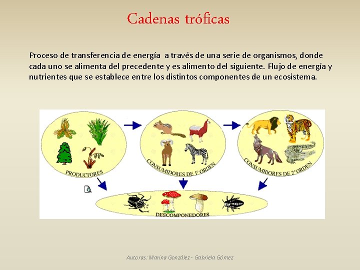 Cadenas tróficas Proceso de transferencia de energía a través de una serie de organismos,