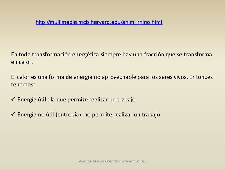 http: //multimedia. mcb. harvard. edu/anim_rhino. html En toda transformación energética siempre hay una fracción