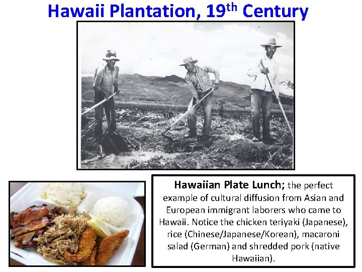 Hawaii Plantation, 19 th Century Hawaiian Plate Lunch; the perfect example of cultural diffusion