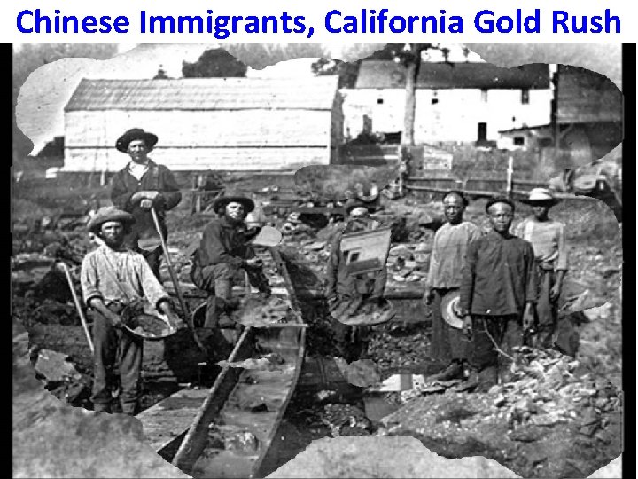 Chinese Immigrants, California Gold Rush 