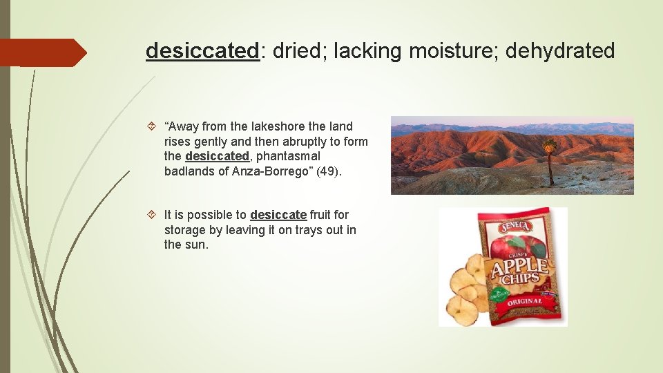 desiccated: dried; lacking moisture; dehydrated “Away from the lakeshore the land rises gently and