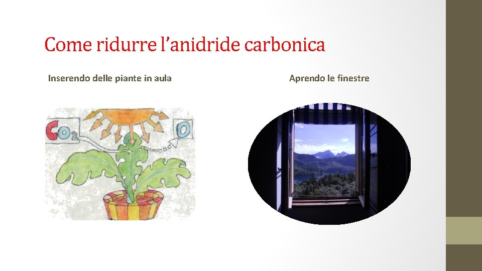 Come ridurre l’anidride carbonica Inserendo delle piante in aula Aprendo le finestre 