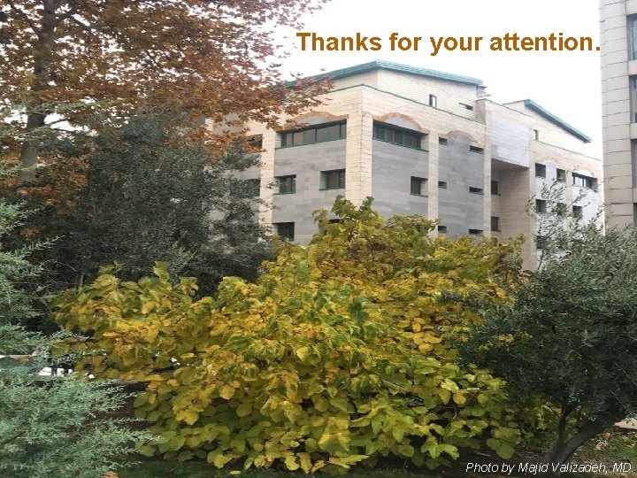 Thanks for your attention. 24 Photo by Majid Valizadeh, MD. 