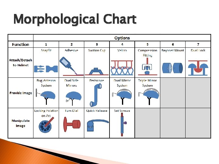 Morphological Chart 