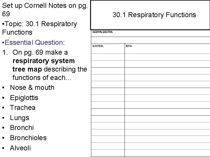 Set Cornell Notes on pg. 29. 4 up. Central and Peripheral Nervous Systems 69