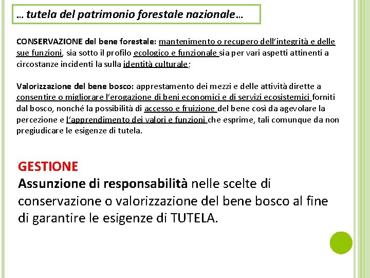 … tutela del patrimonio forestale nazionale… CONSERVAZIONE del bene forestale: mantenimento o recupero dell’integrità