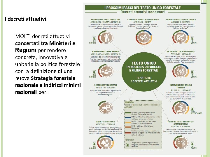 I decreti attuativi MOLTI decreti attuativi concertati tra Ministeri e Regioni per rendere concreta,