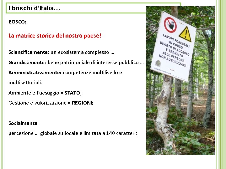 I boschi d’Italia… BOSCO: La matrice storica del nostro paese! Scientificamente: un ecosistema complesso