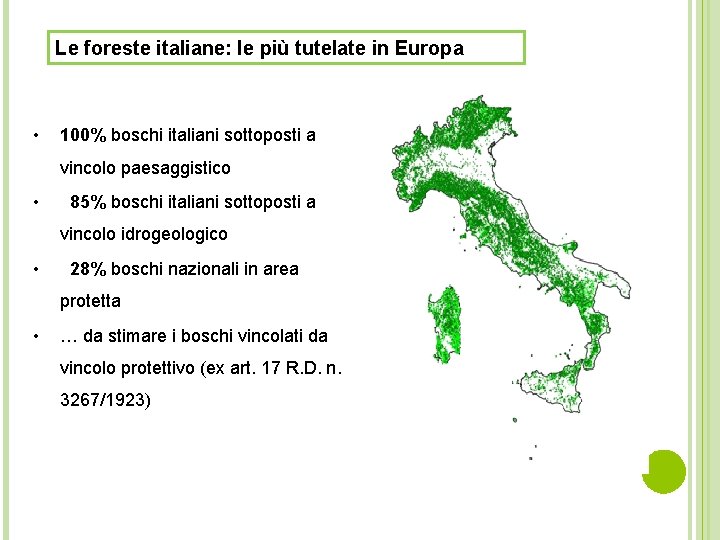 Le foreste italiane: le più tutelate in Europa • 100% boschi italiani sottoposti a