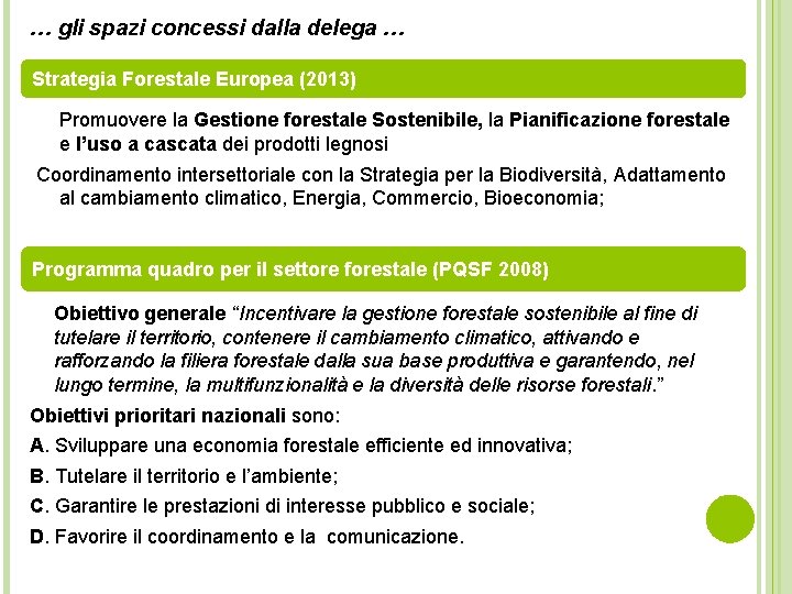 … gli spazi concessi dalla delega … Strategia Forestale Europea (2013) Promuovere la Gestione